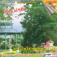 หยาด นภาลัย ชุด 3 โนรีจากคอนA